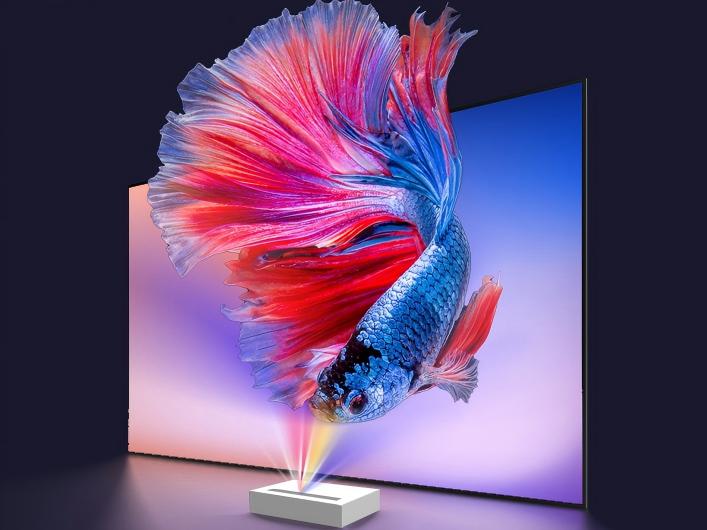 The Difference Between CLR and ALR