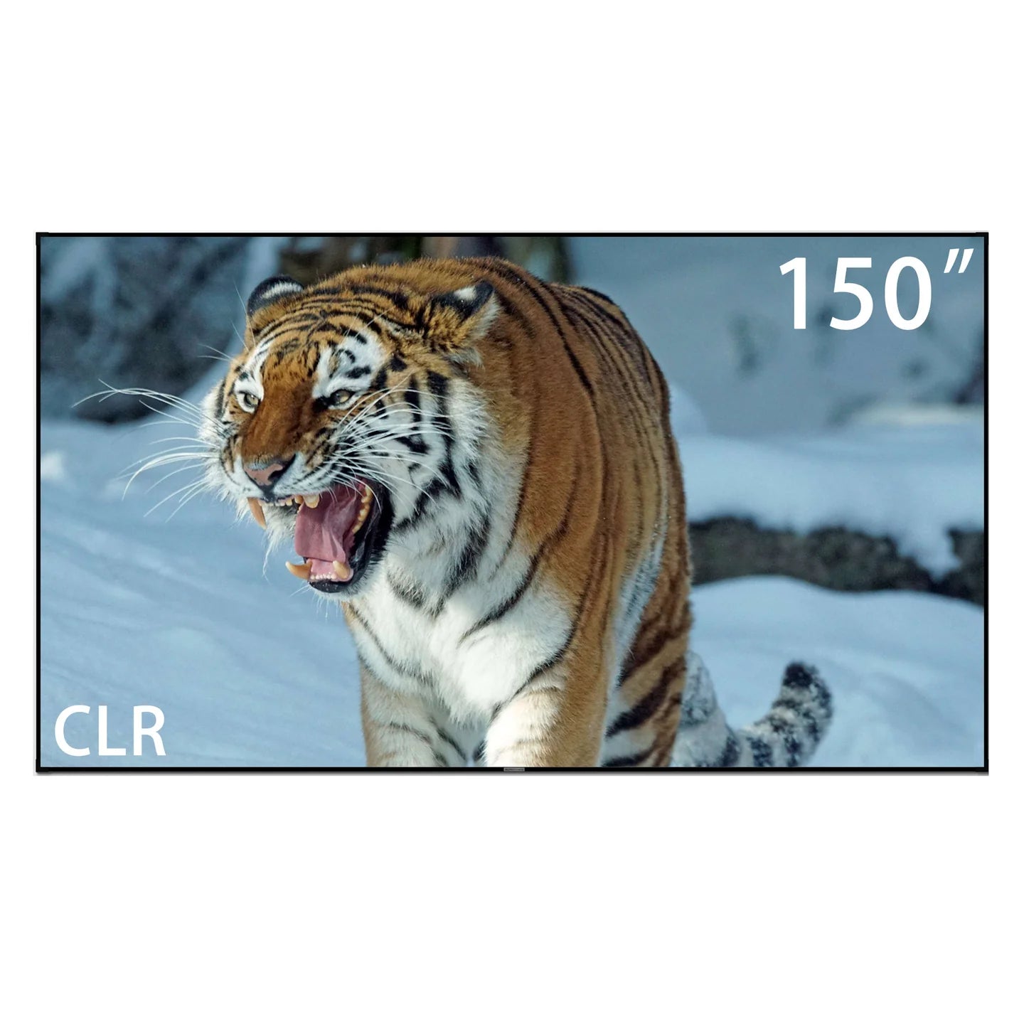 Écran à cadre fixe Gallery Evo CLR 150" CBSP