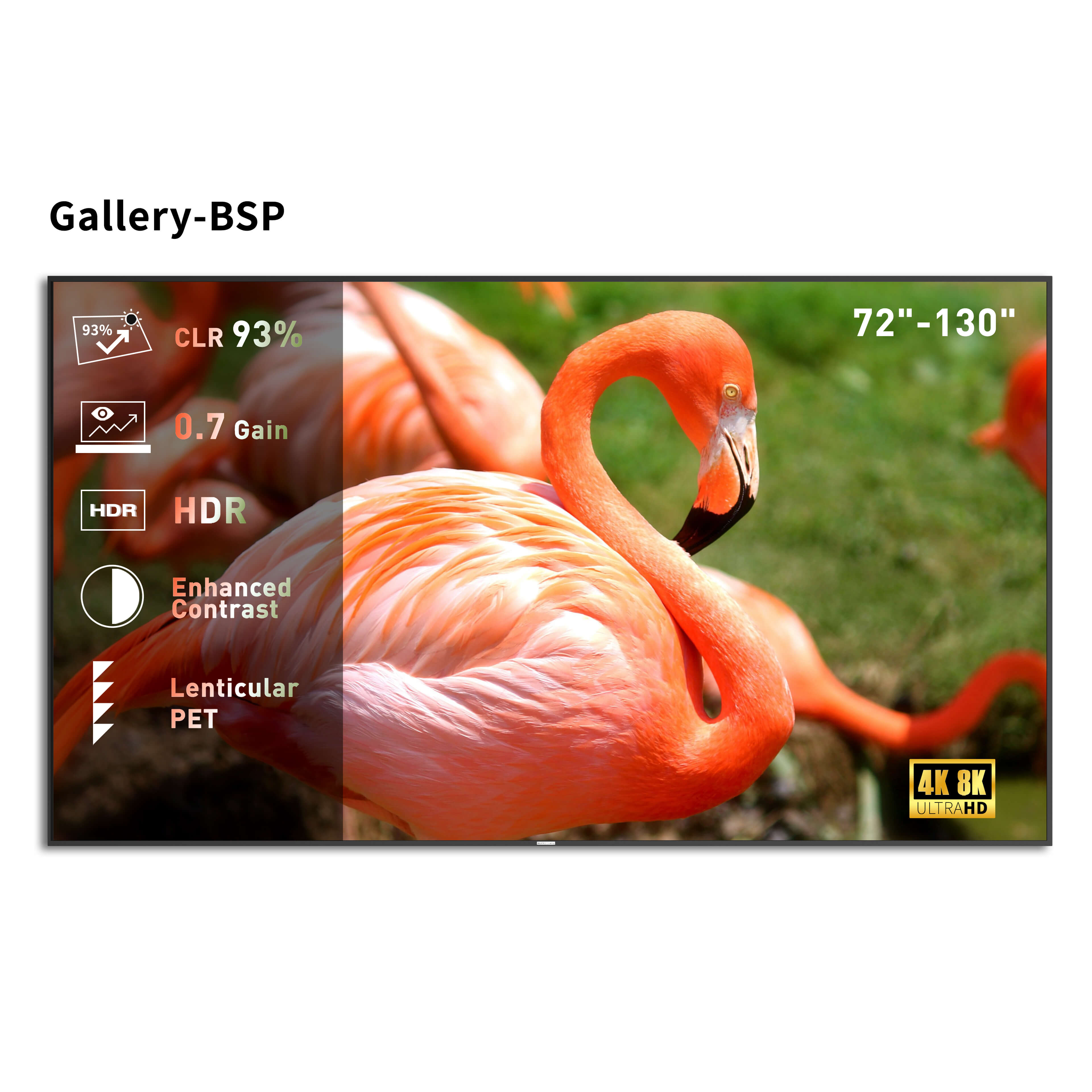 WUPRO Cinema Gallery CLR Fixed Frame Screen BSP