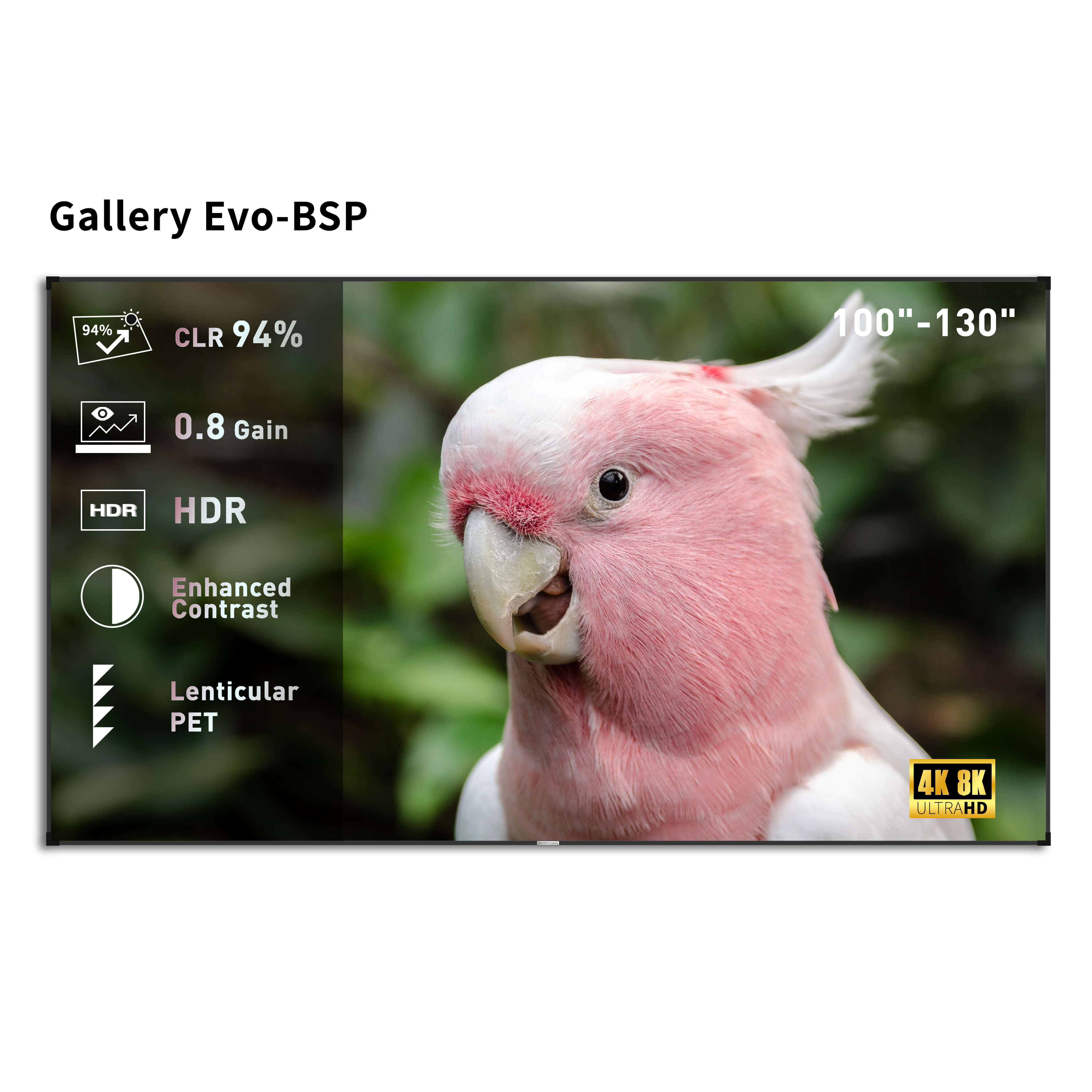 WUPRO Cinema Gallery Evo CLR Fixed Frame Screen BSP