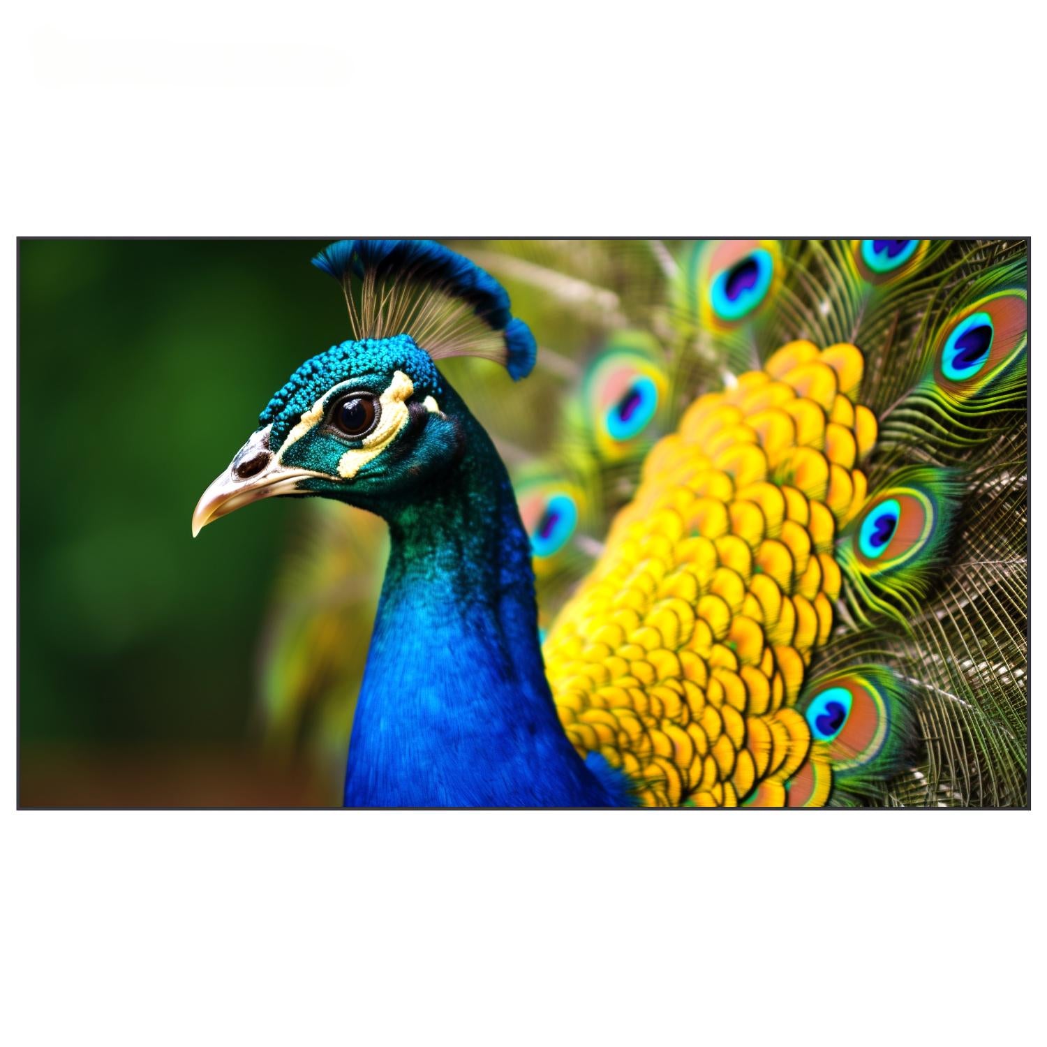 Écran fixe à cadre ALR Fresnel WUPRO Cinema Peacock