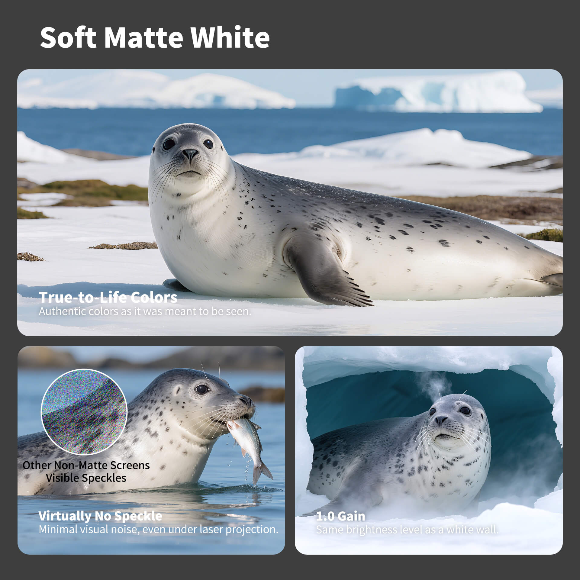 WUPRO Cinema LeApex Smart Motorized Floor Rising Screen Soft Matte White