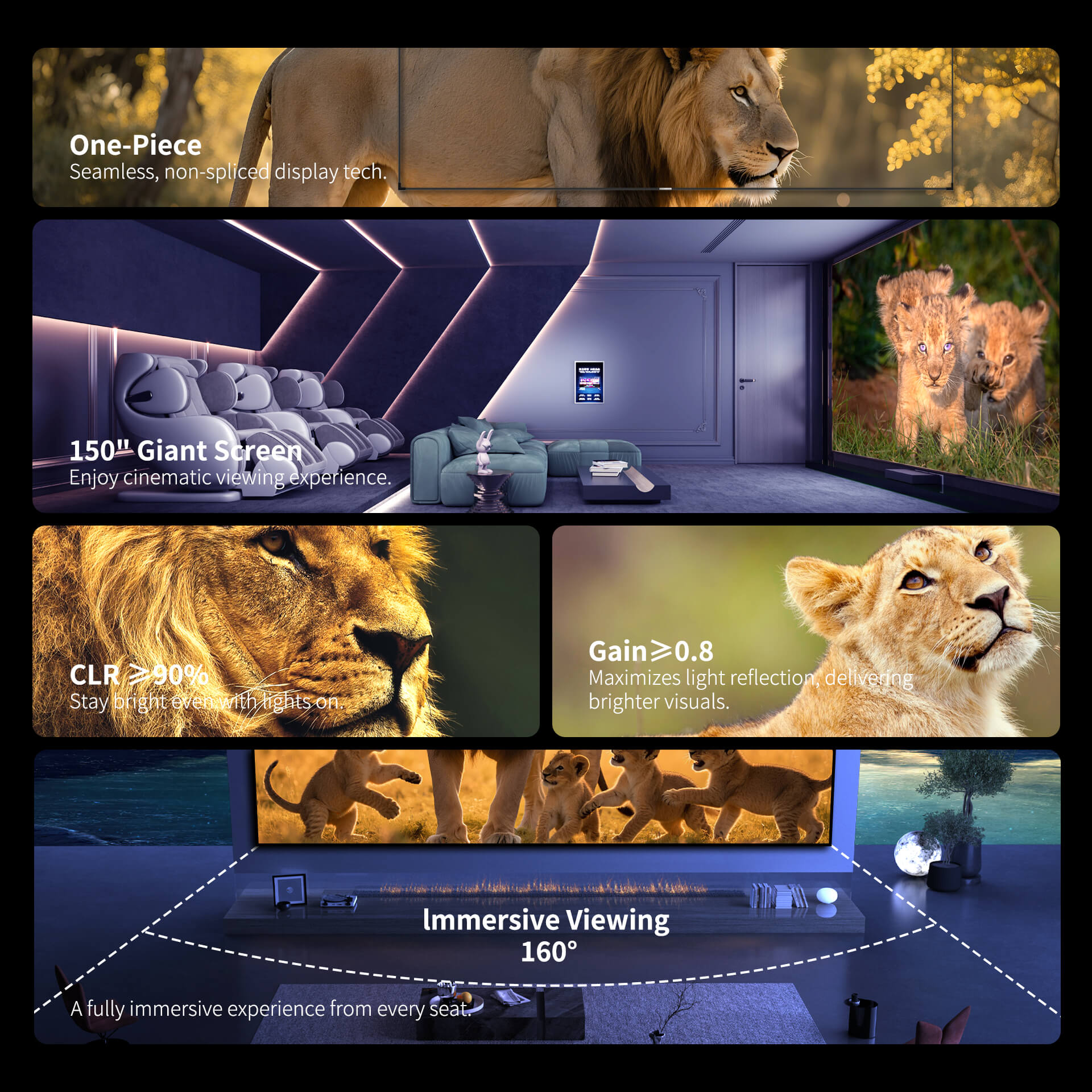 Écran à cadre fixe Gallery Evo CLR 150" CBSP