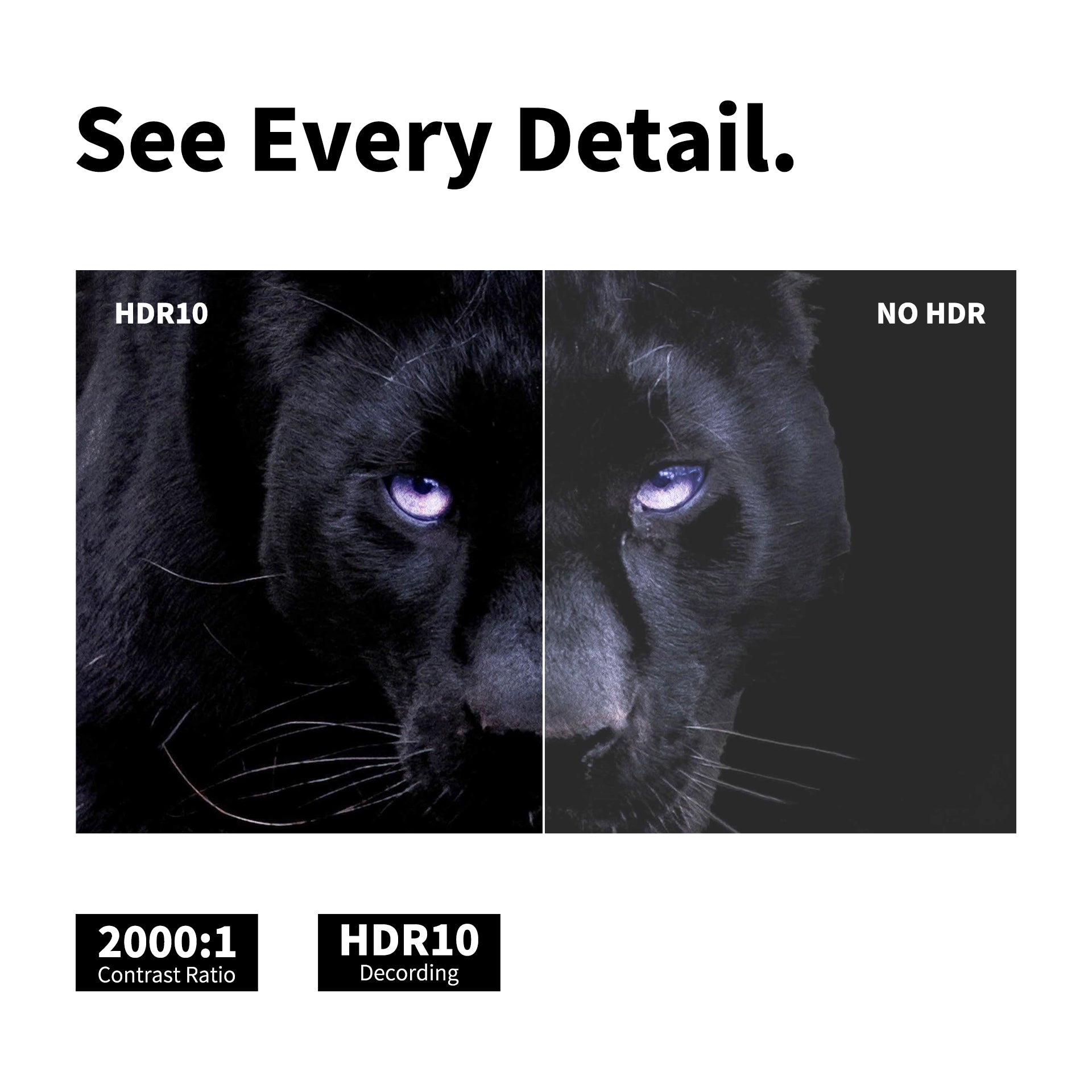 Projecteur intelligent WUPRO Cinema G1 Galaxy One