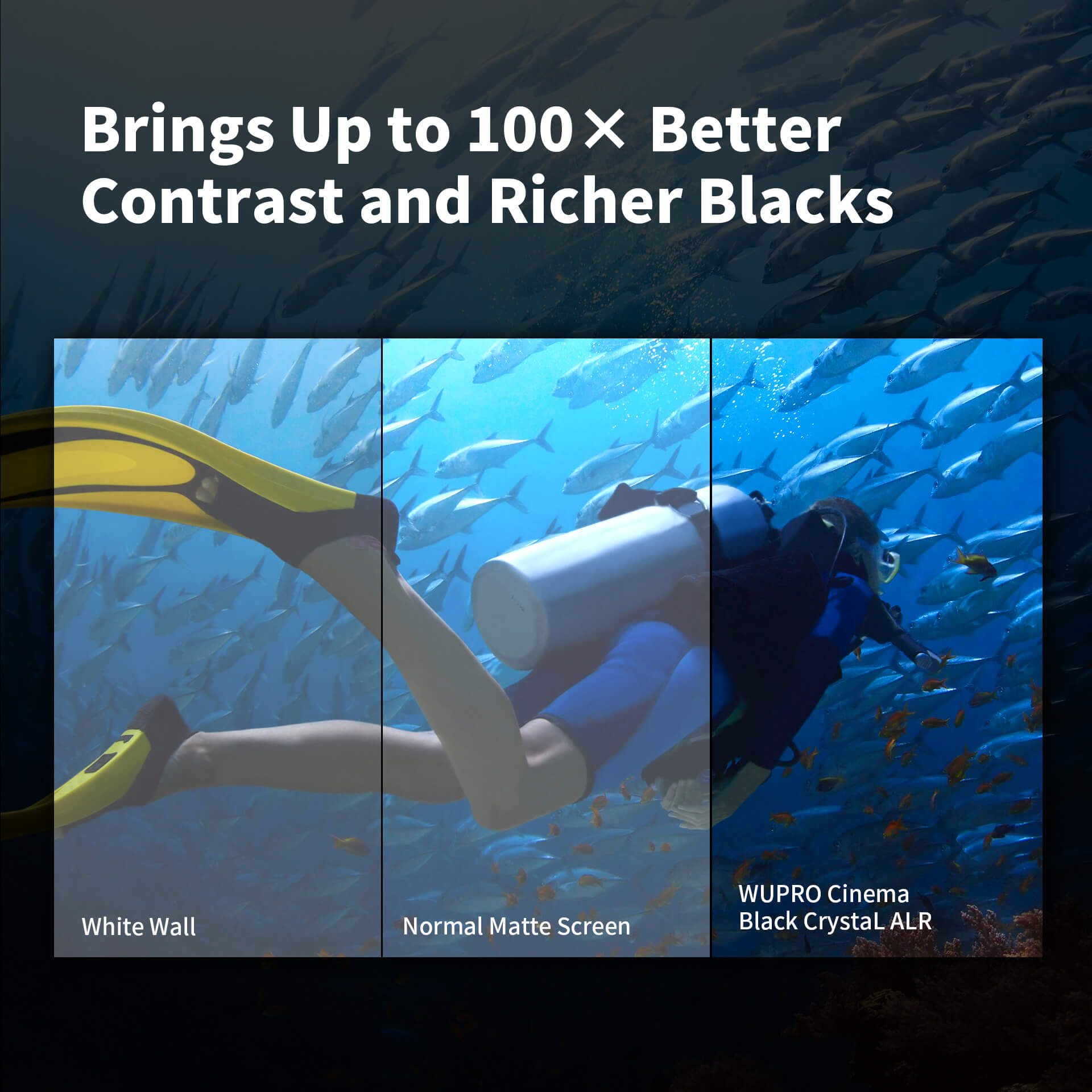 WUPRO Cinema Gallery ALR Écran à cadre fixe Black Crystal