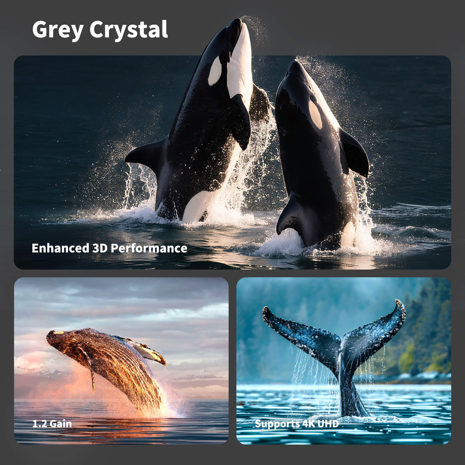 WUPRO Cinema QuadraArc Smart Motorized Drop-Down Screen Grey Crystal