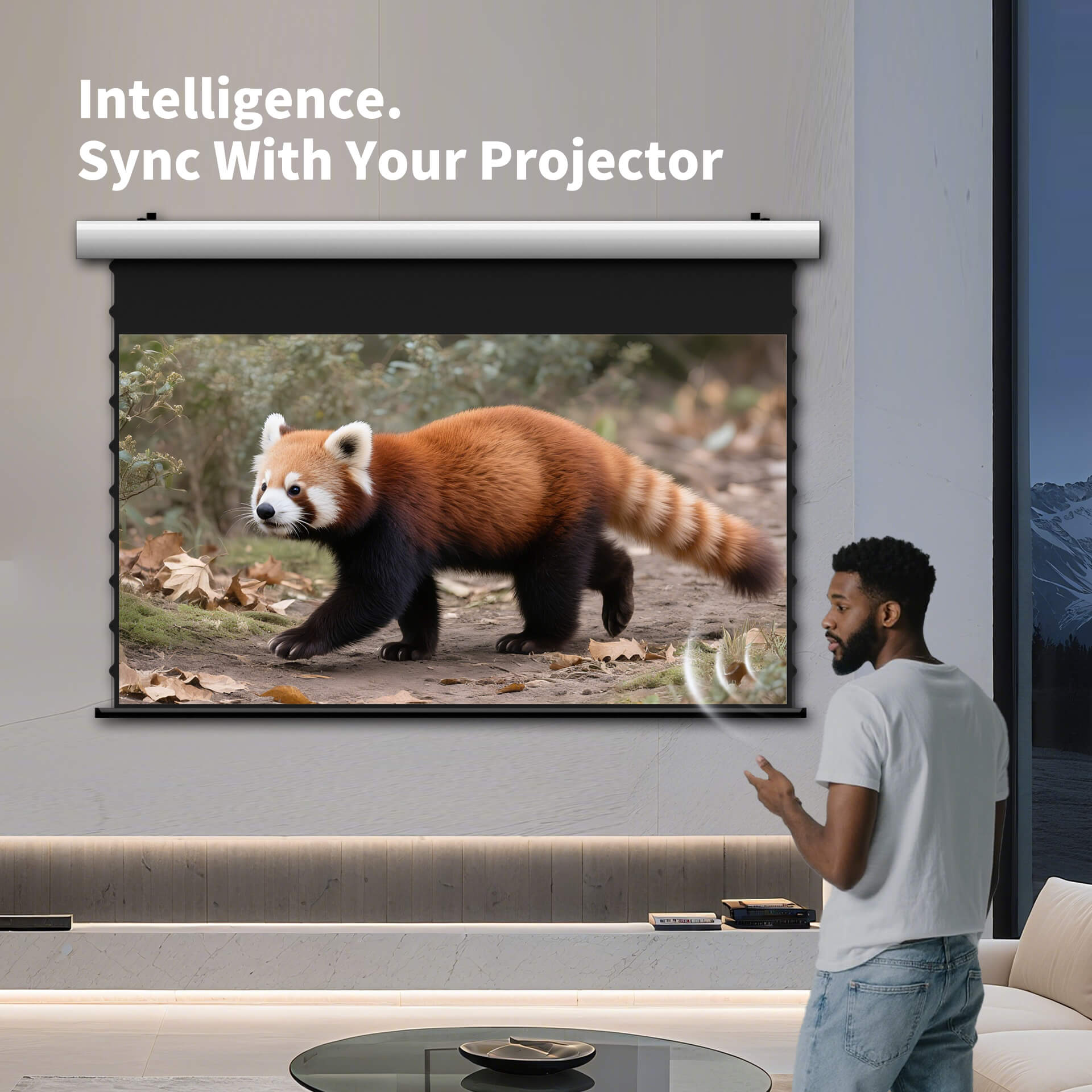 WUPRO Cinema FlowArc Smart Motorisierte Klappleinwand, weiches Mattgrau