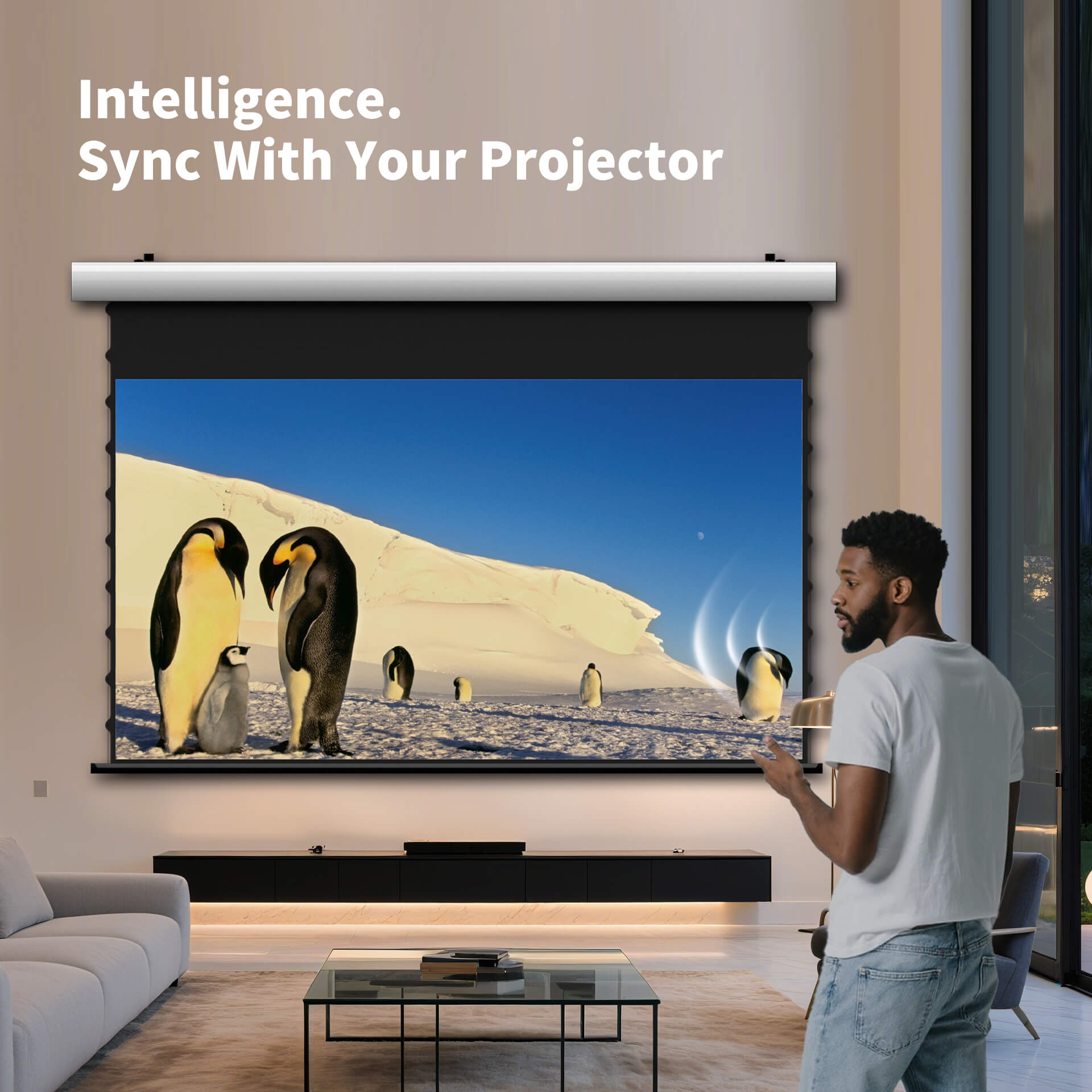 WUPRO Cinema FlowArc Smart Motorisierte Klappleinwand, weiches Mattweiß