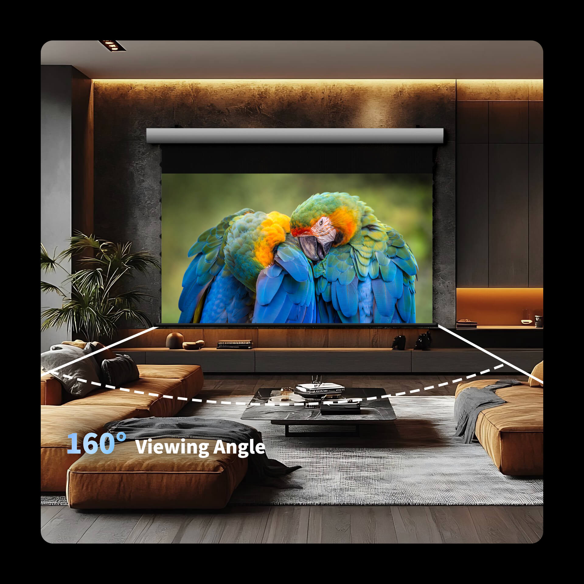 WUPRO Cinema FlowArc CLR Smart Motorized Drop-Down Screen CBSP