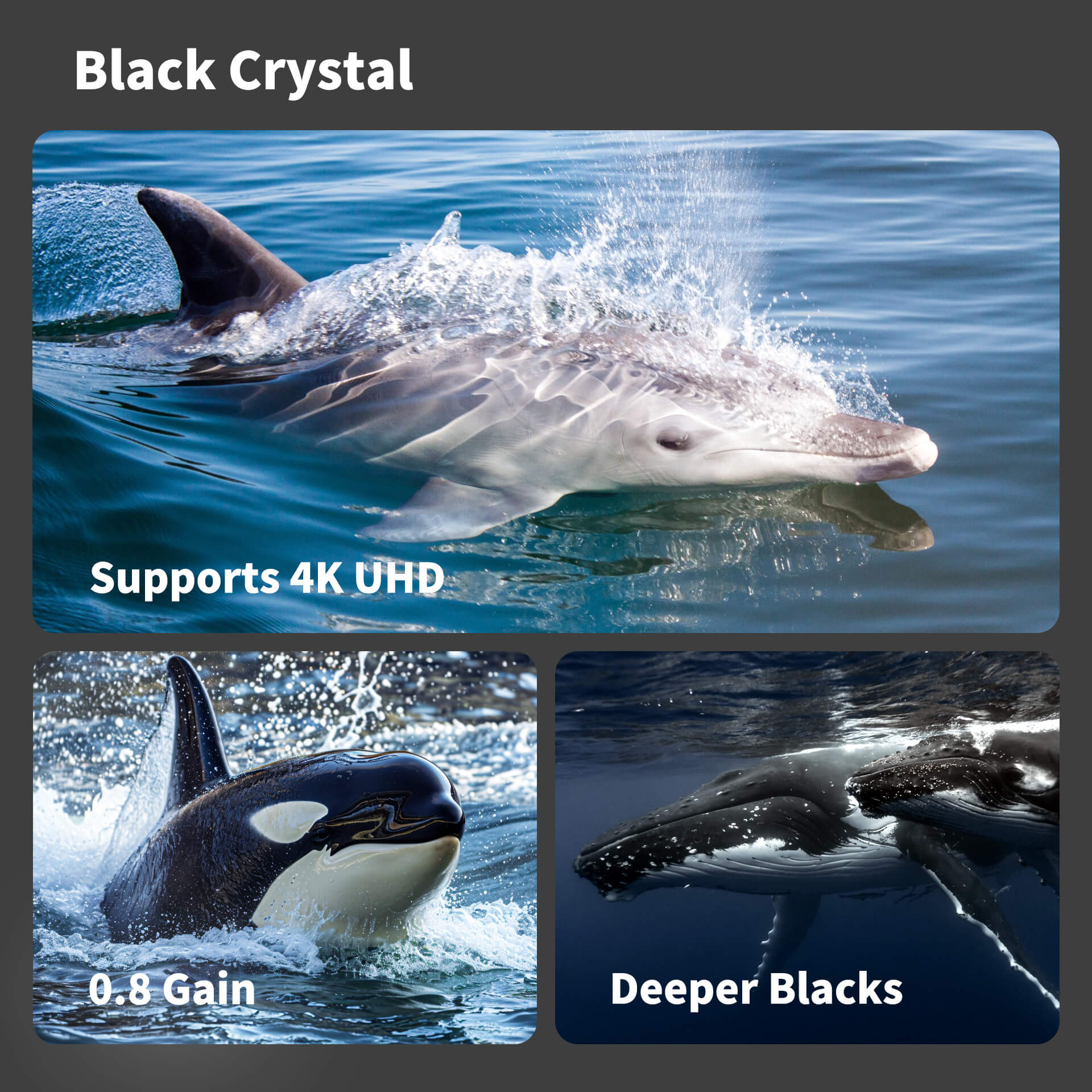 WUPRO Cinema Projection Screen Fabric Sample Kit