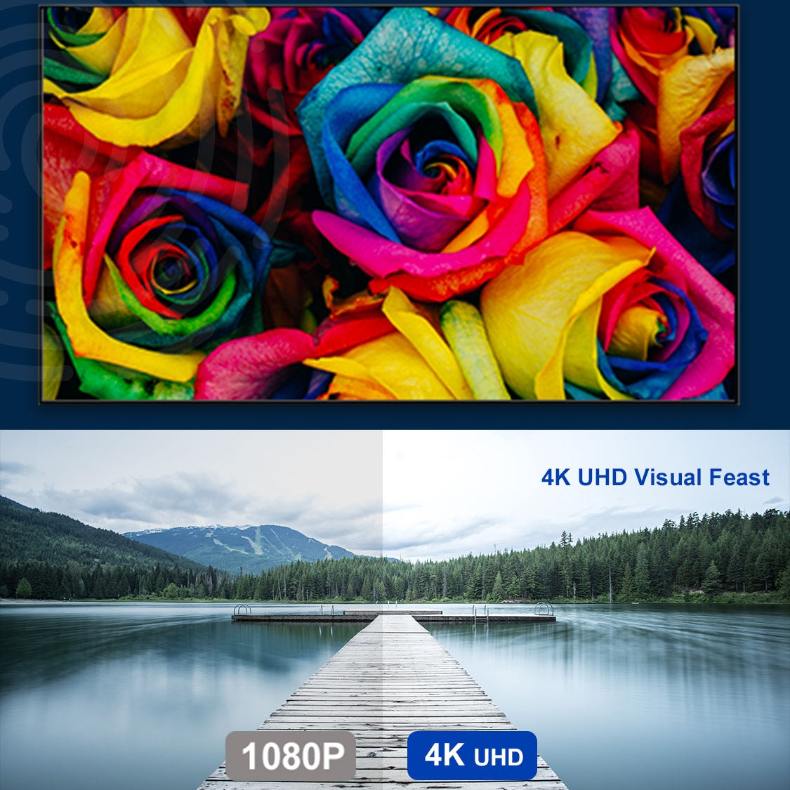 WUPRO Cinema Gallery Lite CLR Fixed Frame Screen BSP