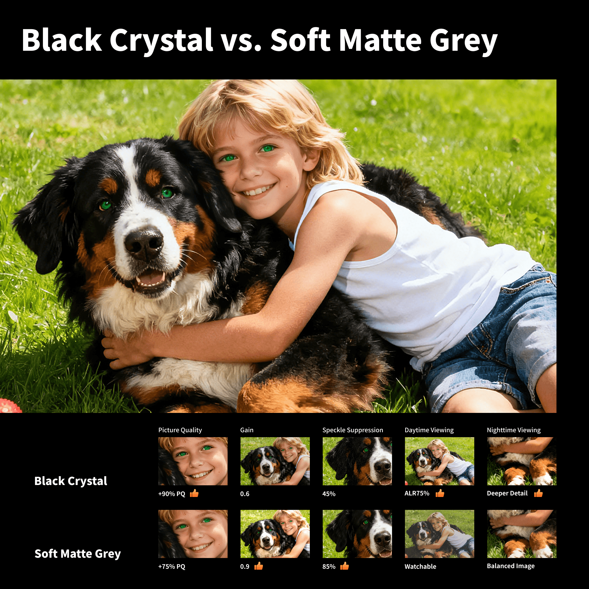 Soft Matte Grey screen delivers significantly lower laser speckle compared to metallic Black Crystal ALR screens