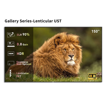 Écran à cadre fixe Gallery Evo CLR 150" CBSP