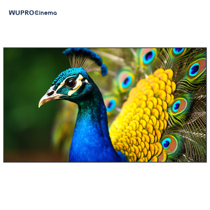 Peacock UST1 ALR Fixed Frame Screen Fresnel with Fresnel ALR material, 85% ambient light rejection, ultra-thin frame, and innovative screw-through spring and rod nut installation. Provides excellent visuals and practical setup for home theaters and offices.