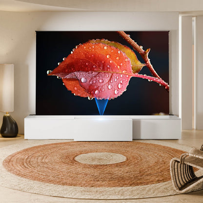 WUPRO Cinema DSP-580 Ultra Short Throw Projector Laser TV Cabinet