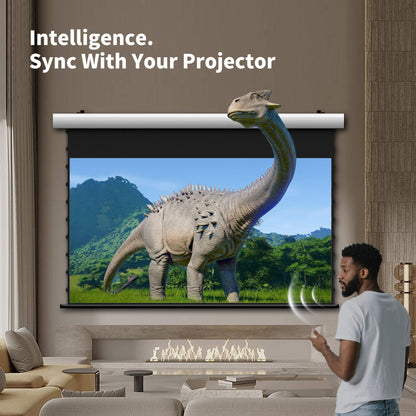 WUPRO Cinema FlowArc Smart Motorized Drop-Down Screen Grey Crystal