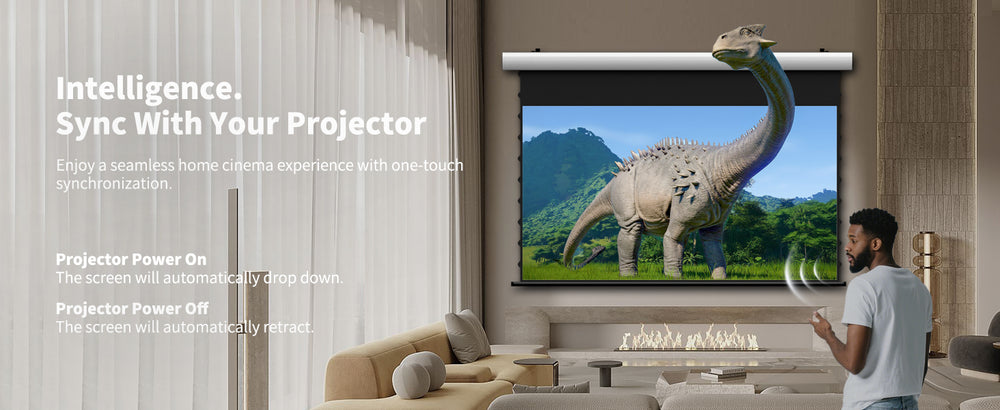 WUPRO Cinema FlowArc Smart Motorisierte Klappleinwand, Grauer Kristall