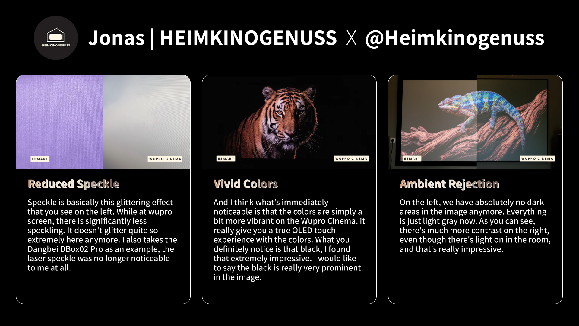 Jonas | HEIMKINOGENUSS review showing reduced laser speckle on the WUPRO Lenticular LT screen with hisense XR10, highlighting deeper black levels and light rejecting and reduced speckle issue.