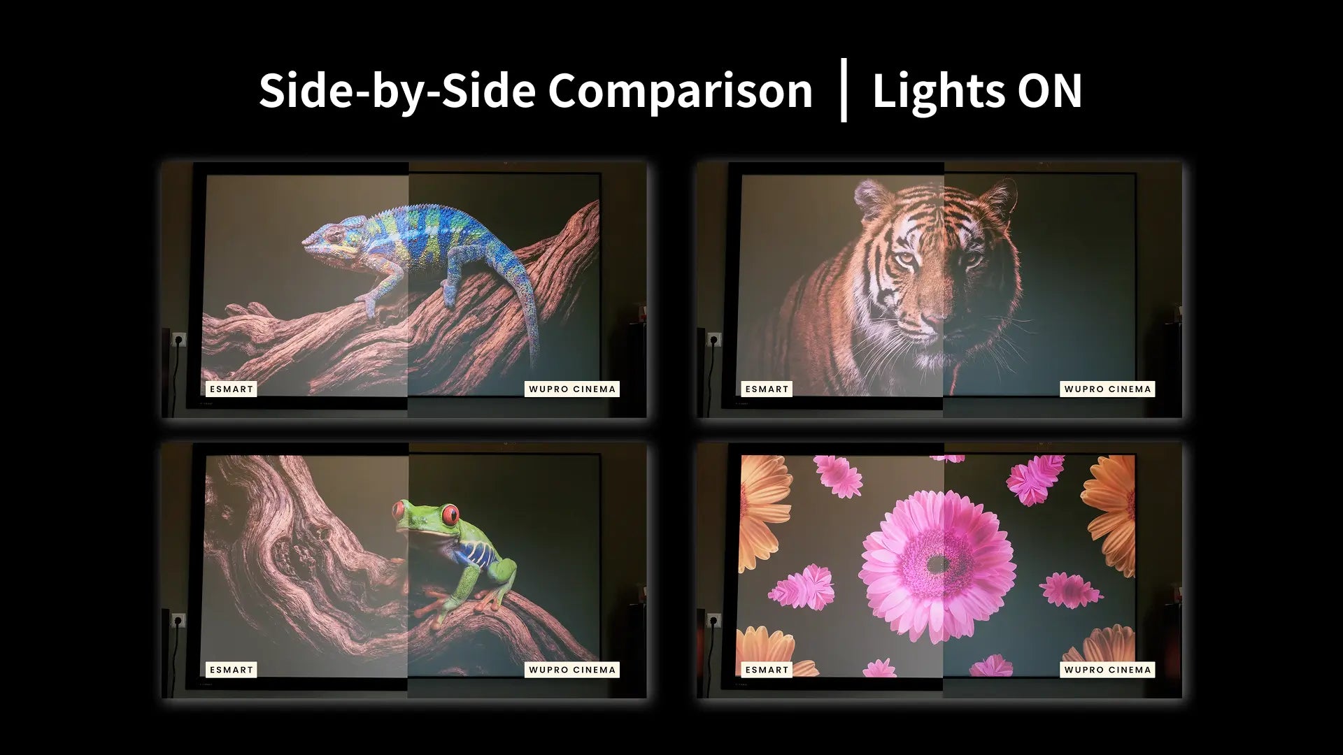 Heimkinogenuss Lenticular LT screen maintains vivid colors, high contrast, and clear details under ambient light conditions for RGB laser projector viewing