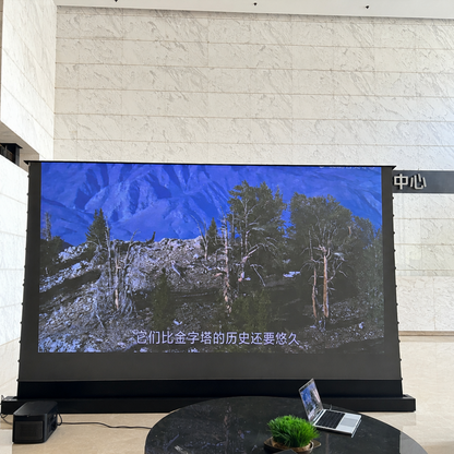WUPRO Cinema 150 Inch CLR Smart Motorized Floor Rising Screen Lenticular UST
