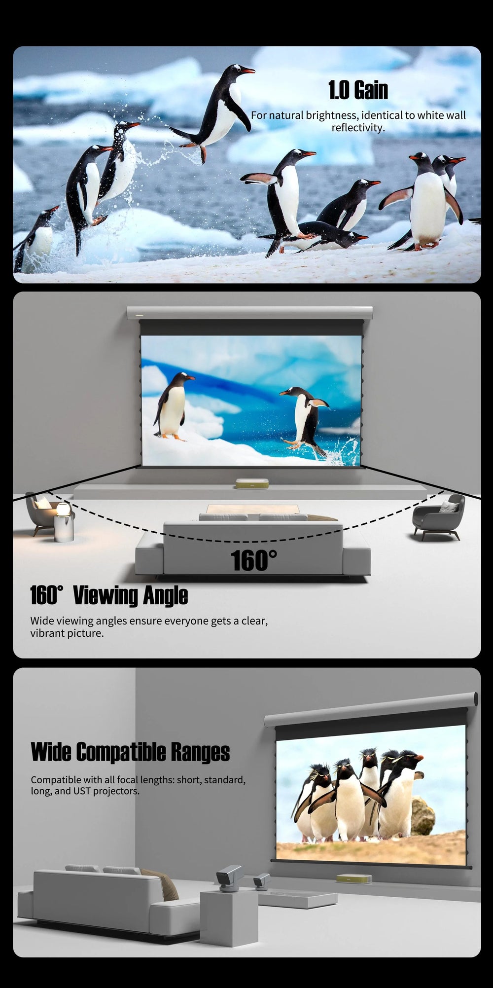 WUPRO FlowArc Soft Matte White motorized screen with anti-speckle 1.0 gain wide viewing tab tension smart control and RGB triple laser compatibility