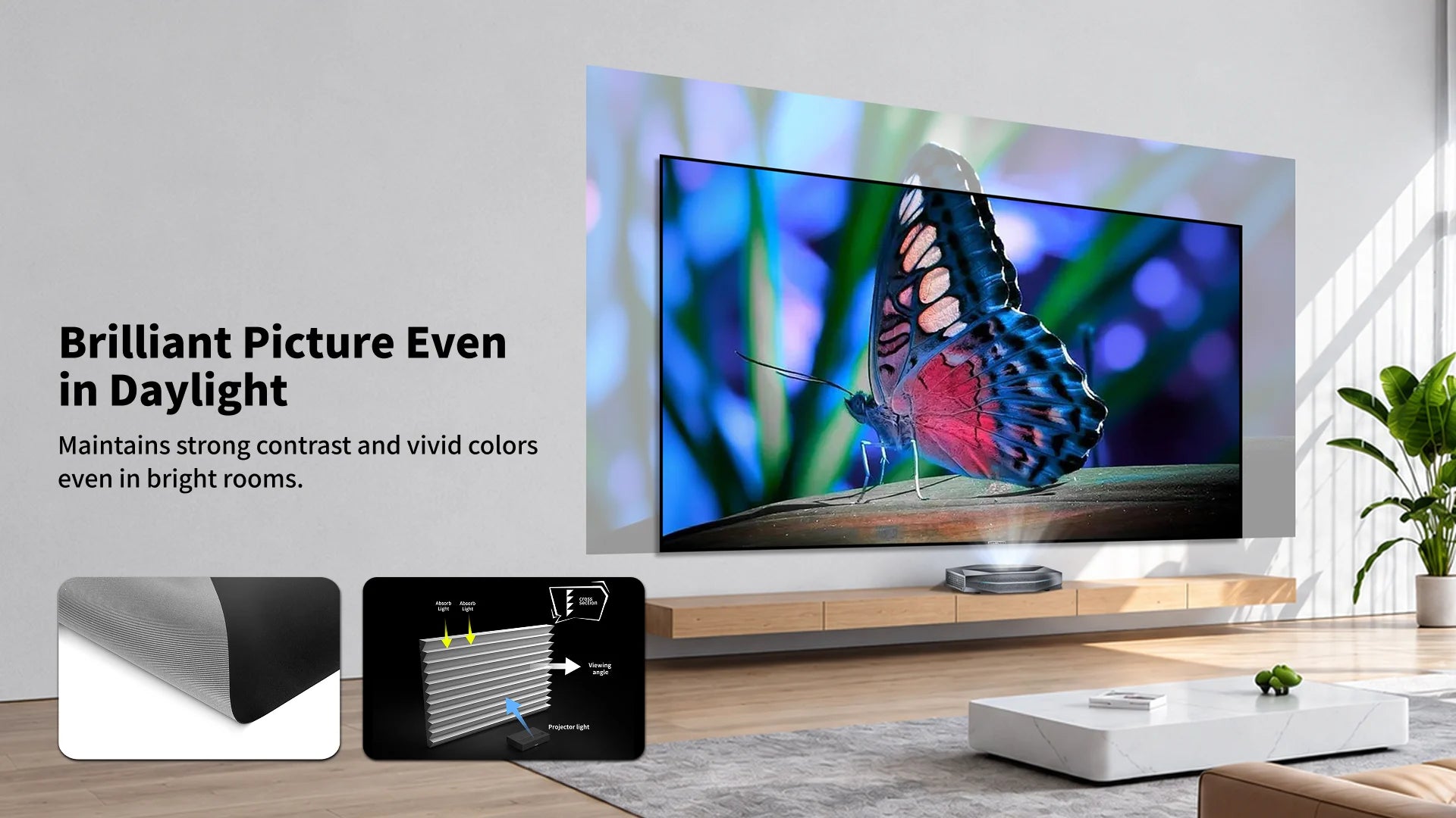 WUPRO Cinema Gallery Evo CLR Fixed Frame Screen CBSP