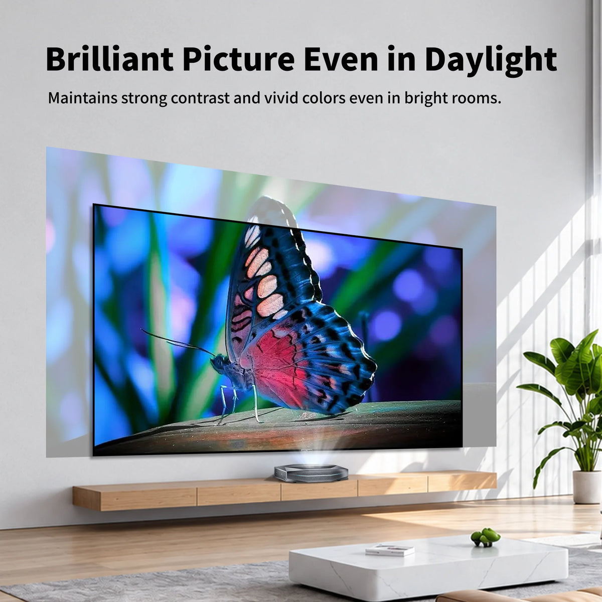 WUPRO Gallery EVO CBSP CLR projector screen with up to 95% ceiling light rejection for bright rooms